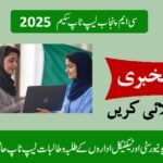 CM Punjab Laptop Scheme