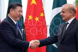 cpec steps into 5 new corridors