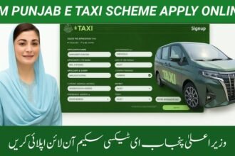 E-Taxi Scheme